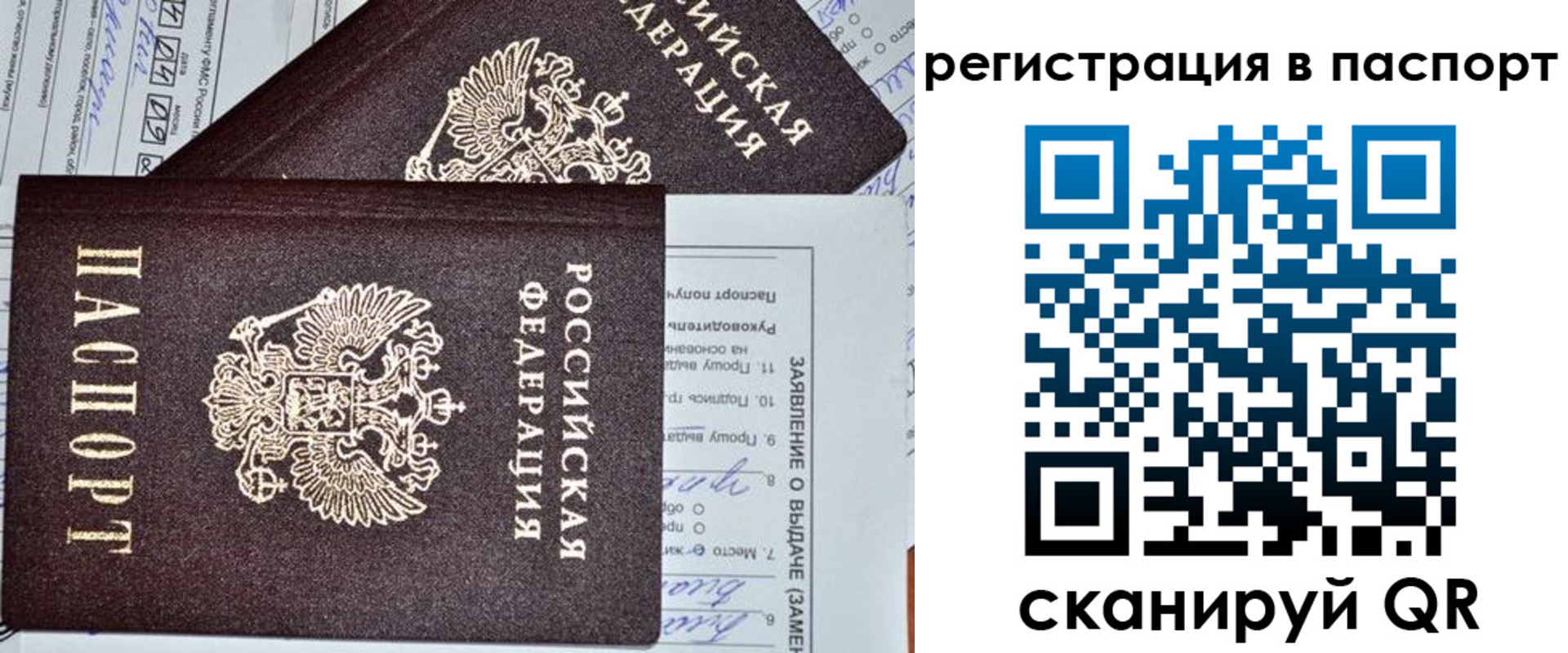 прописка законно в Сердобске